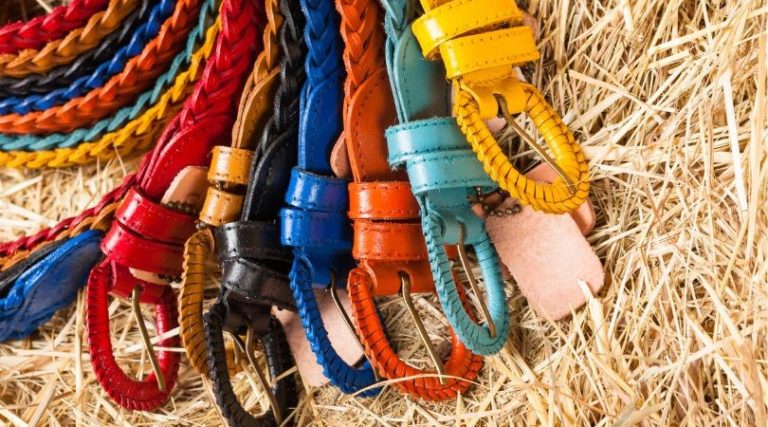 扣具(Buckle)是羅馬人設計的? 5大扣具的種類及材質一次介紹給您! - 依綸國際 | 紡織副料及布料專業供應商
